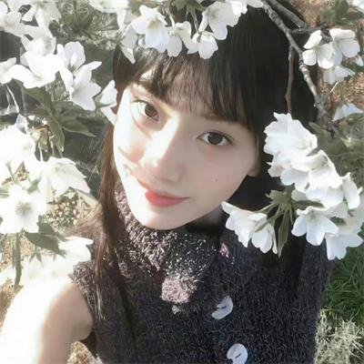 名校风暴第五季